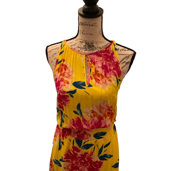 NWT Evereve Dress - Picture 2 of 4